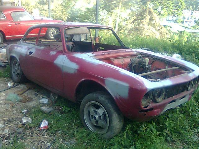 alfa donante.jpg