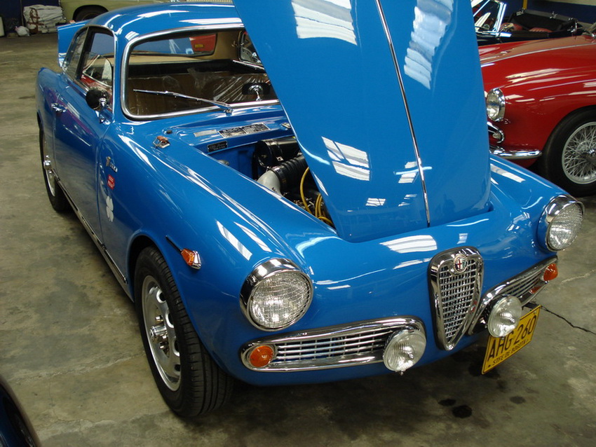 ALFA GIULIA 01 DSC06361_redimensionar.jpg